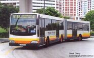 A 2002 Mercedes Benz O405G Volgren with the old Trans Island Bus Services (TIBS) livery.