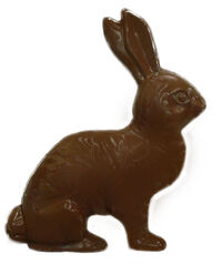 Chocolate bunny