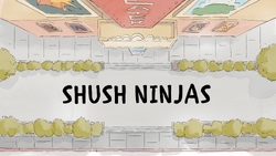 Shushninjas