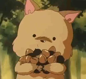 KitsuneInfobox