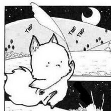 Kitsune.jpg