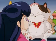 In Episode 35 (Kotatsu-neko)