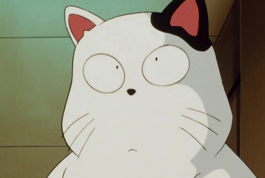 あかね | きまぐれオレンジ☆ロード Wiki | Fandom