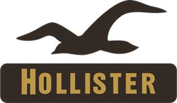 Hollister germany online sale