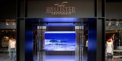 Hollister USA Store Fanon Wikia Fandom
