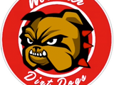 Worcester Dirt Dogs
