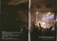 MAJILOVELIVE1000BROCHURE-20