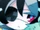 Lost Hiso