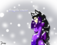 fragile snow