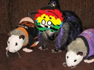 Chrome possum.png (649 KB) a stupid meme that was from a cursed image I i found on the internet