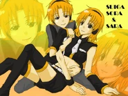 Sara and Sora original.jpg (133 kB) Arte de 百兎 con su diseño de Sara.