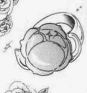Utena's ring given to her by The Prince