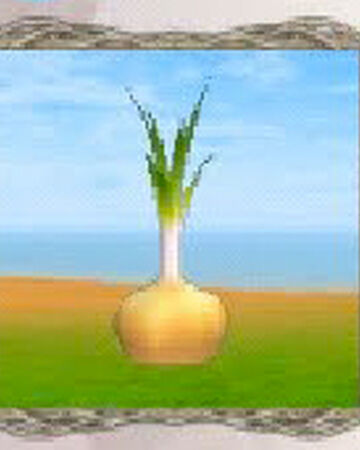 Onion Utopia Origin Wiki Fandom
