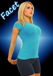 Facet1.jpg