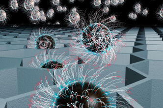 454 lifesciences pyrosequencing