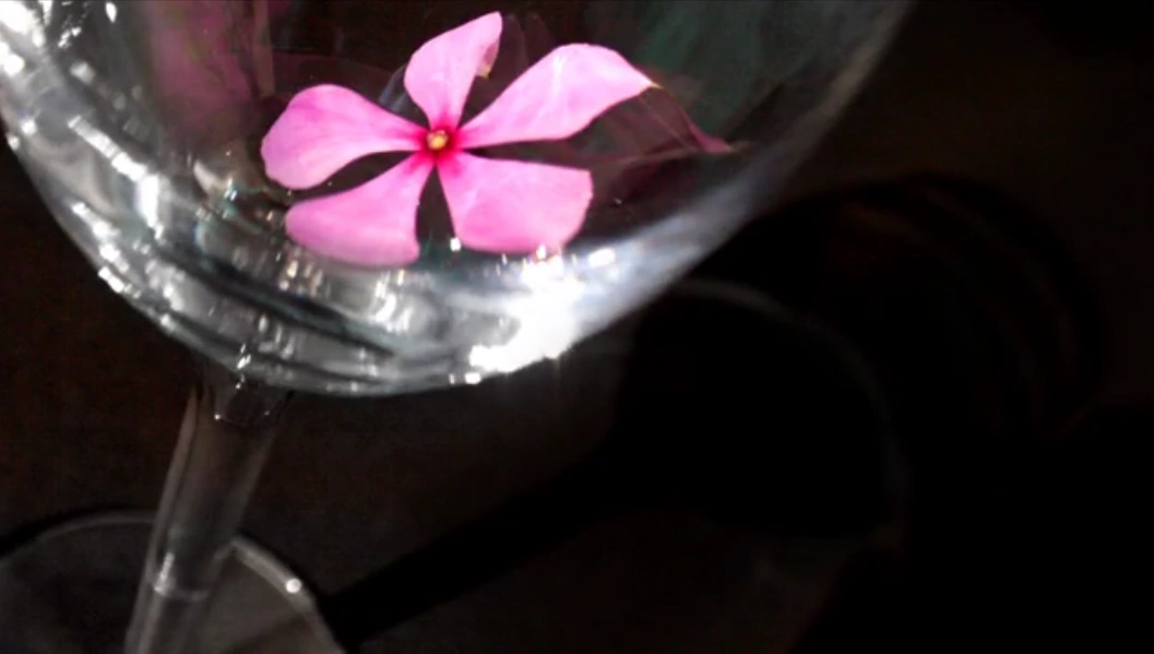 オーマイロビン Oh My Robin Vocaloid Lyrics Wiki Fandom