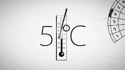 5℃