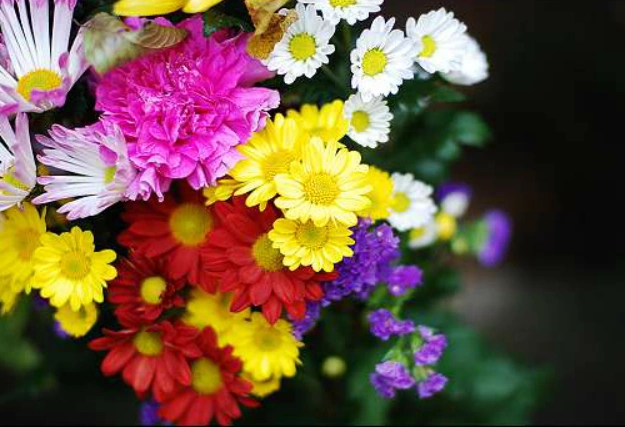 宵闇のアウグスティン Yoiyami No Augustine Vocaloid Lyrics Wiki Fandom 宵闇のアウグスティン Yoiyami No Augustine Vocaloid Lyrics Wiki Fandom