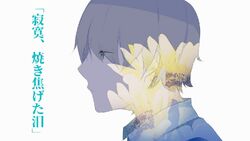 寂寞 焼き焦げた泪 Sekibaku Yakikogeta Namida Vocaloid Lyrics Wiki Fandom