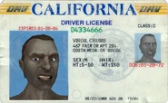 Virgil Crumb's driver's license