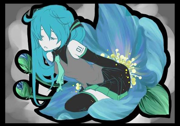 メコノプシス ベトニキフォリア Meconopsis Betonicifolia Vocaloid Lyrics Wiki Fandom