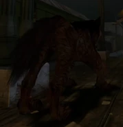 Beckett's Protean Form, a large black wolf (as seen from behind) (Unoffical Patch)