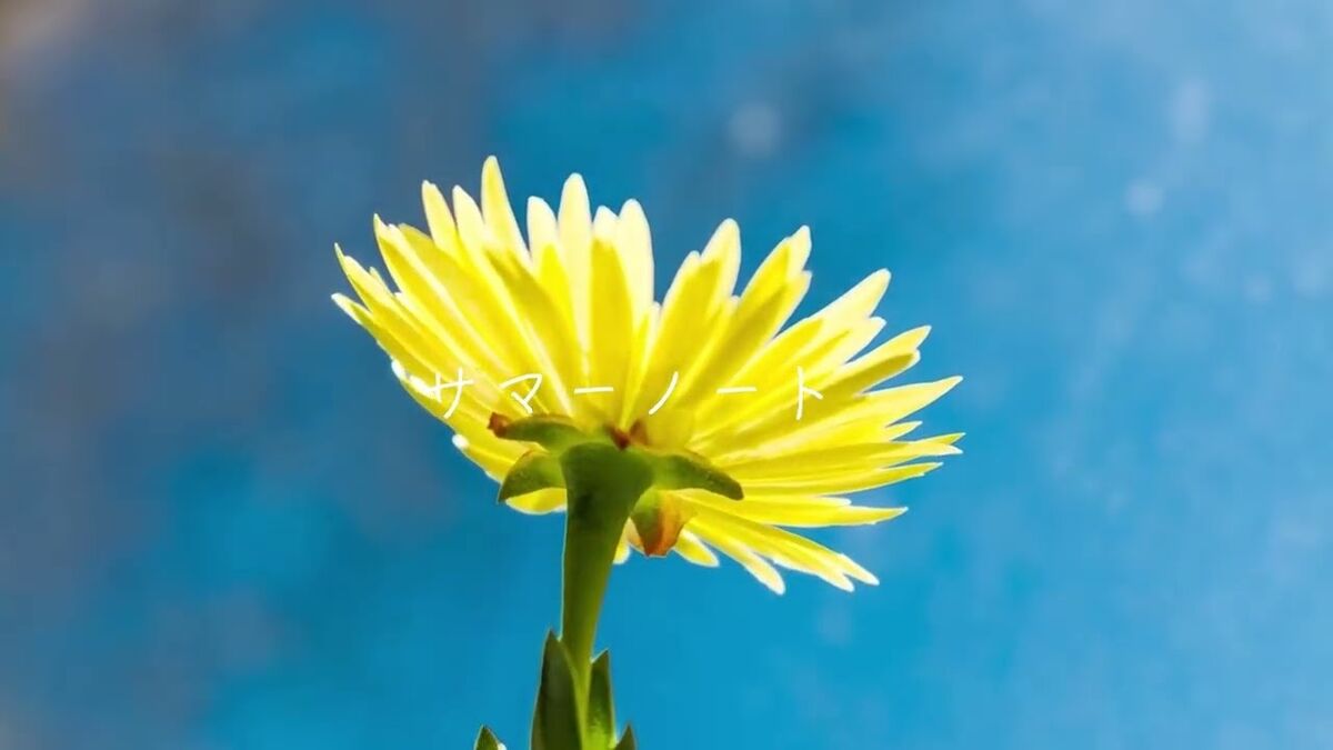 19 summer note.