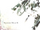 久遠（クオン） (Kuon)
