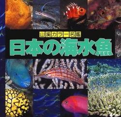 魚類みたいな顔した女に年収訊かれた Gyorui Mitai Na Kao Shita Onna Ni Nenshuu Kikareta Vocaloid Lyrics Wiki Fandom