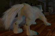 Beckett's Protean Form, a large white wolf (as seen from behind)