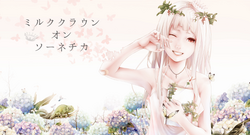 ミルククラウン オン ソーネチカ Milk Crown On Sonnetica Vocaloid Lyrics Wiki Fandom