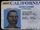 Driver's License