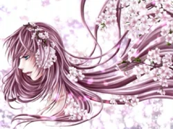 桜 In The Way Sakura In The Way Vocaloid Lyrics Wiki Fandom