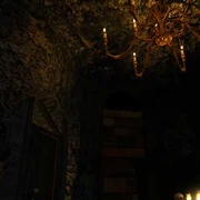 618003-hw warrens 50048