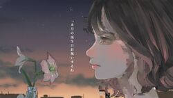 ごめんなんか聞きたくなかった Gomen Nanka Kikitaku Nakatta Vocaloid Lyrics Wiki Fandom ごめんなんか聞きたくなかった Gomen Nanka Kikitaku Nakatta Vocaloid Lyrics Wiki Fandom