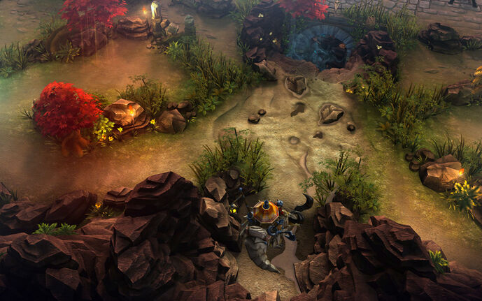 Jungle shop.jpg