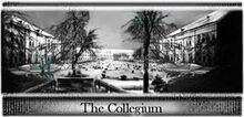 Collegium