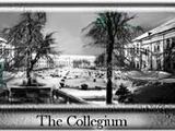 Collegia
