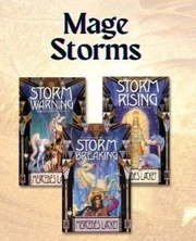 Publisher's image for the Mage Storms series showing the print book covers