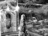 Heartstone