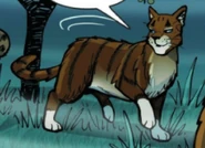 Jestřáb ve Winds of Change