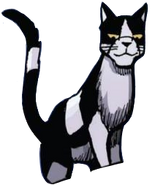 Vysoký měsíc v A Shadow in RiverClan