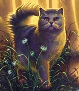 Žlutozubka na obalu Yellowfang's Secret