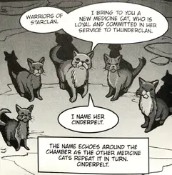 Popeluščin ceremoniál