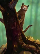 Listohvězda v The Ultimate Guide