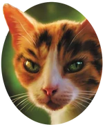 Zlatuška na obalu Tawnypelt's Clan