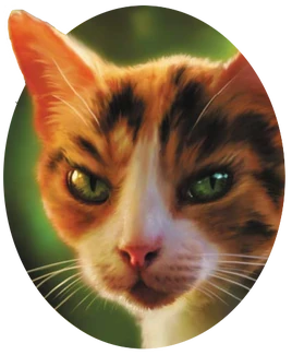 Tawnypelt4
