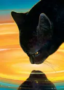 Cestmínolístka v The Ultimate Guide