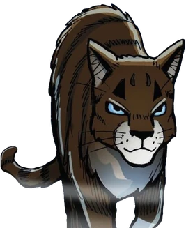 Hawkfrost3