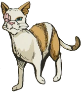 Zářenka v knize Ravenpaw's Path